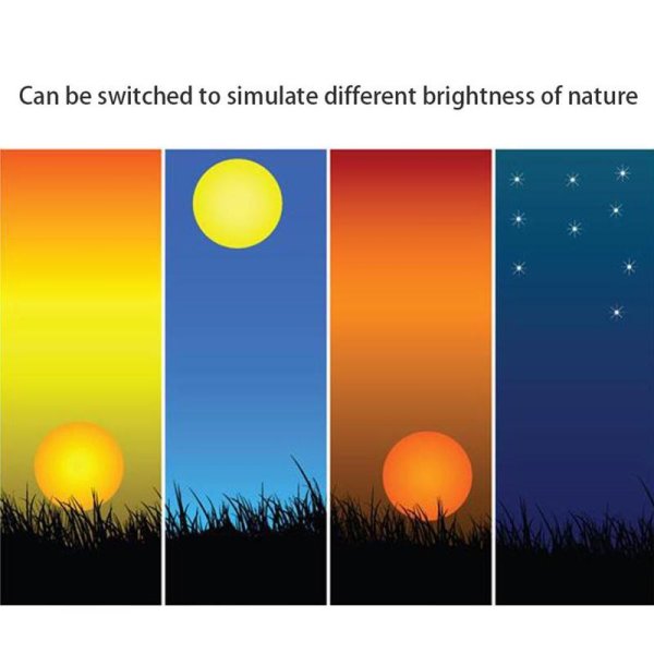 Части суток солнце