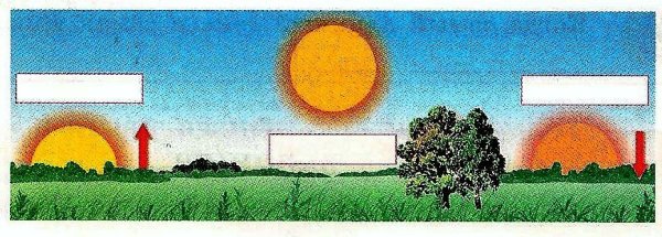 Наблюдение за высотой солнца