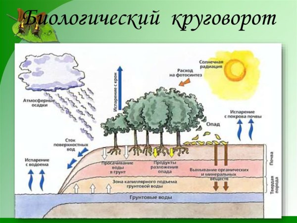 Рисунок на тему природные явления