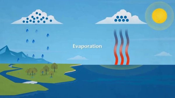 Water Cycles