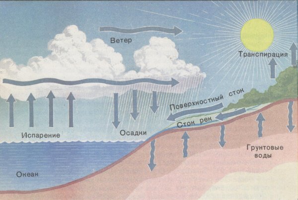 Круговорот воды