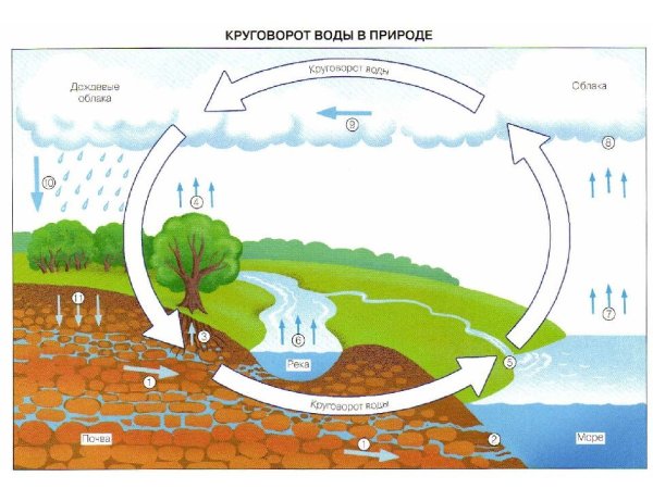 Круговорот воды в природе схеие