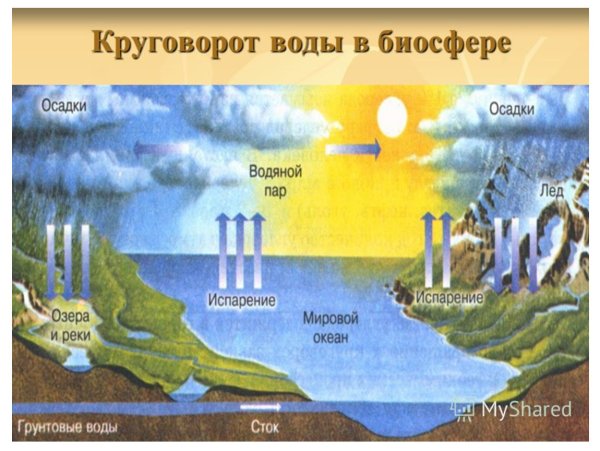 Биосфера круговорот веществ в биосфере