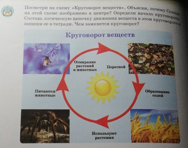 Редуценты роль в экосистеме