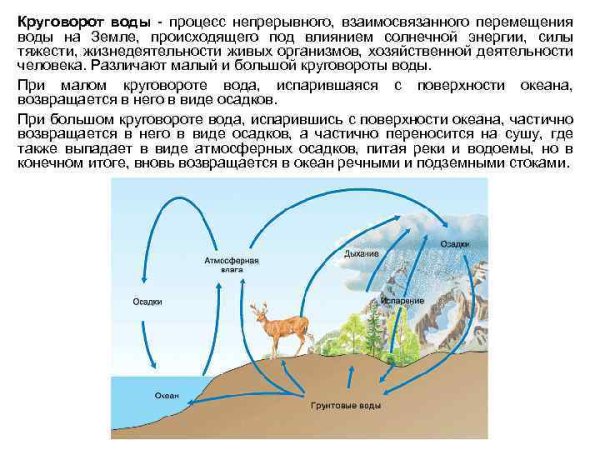 Гармонизация солнца
