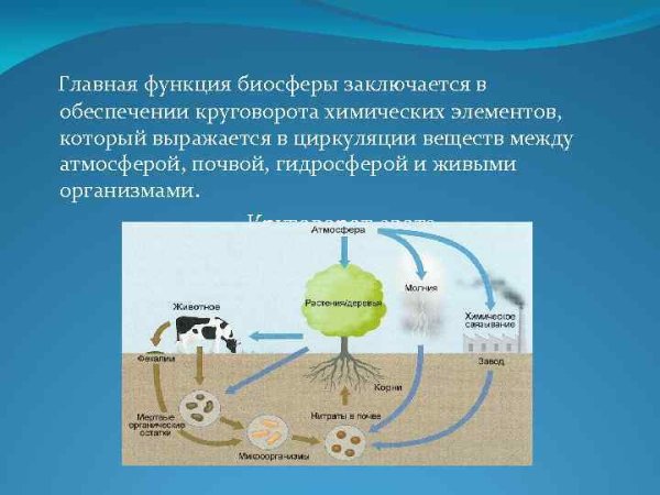 Экологический круговорот воды