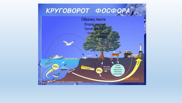 Схема круговорота воды в природе 3 класс рисунок