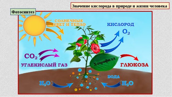 Круговорот воды в природе для детей