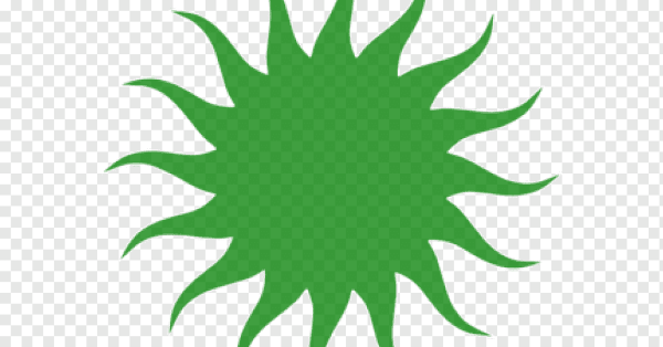 Зеленое солнце