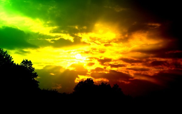 Весенняя природа солнце