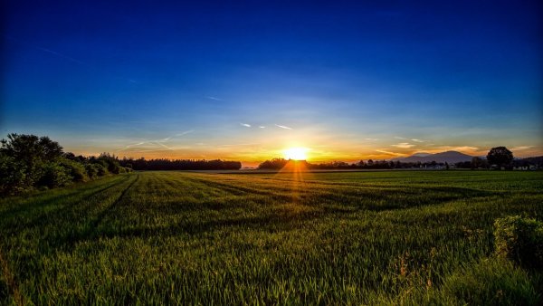 Солнце Рика и Морти