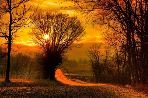 Лето природа