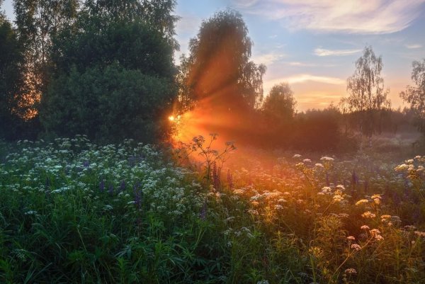 Природа солнце