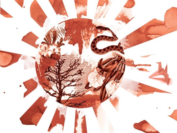 Восходящее солнце Япония