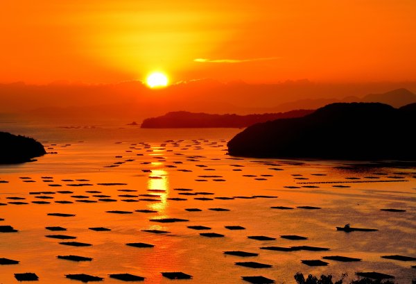 Арт Империя Японии Самураи