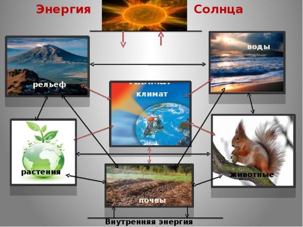 Характеристика солнца кратко