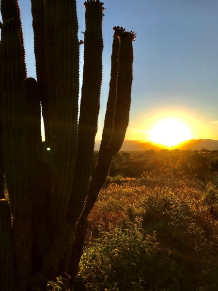 Пирамида Майя закат солнце