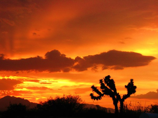 Мехико на закате