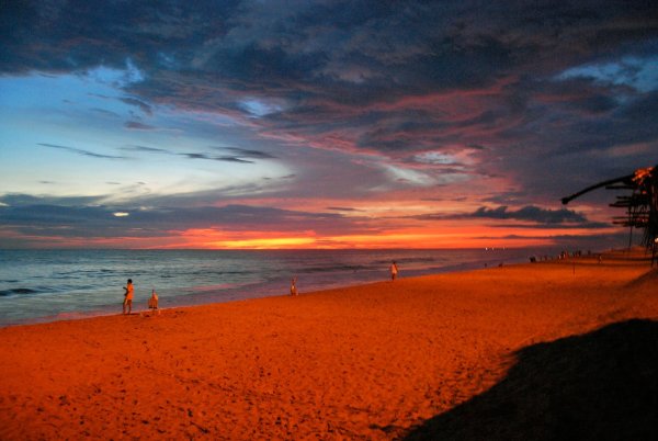 Пальмы вечер