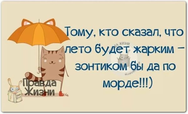 Смешные высказывания про лето