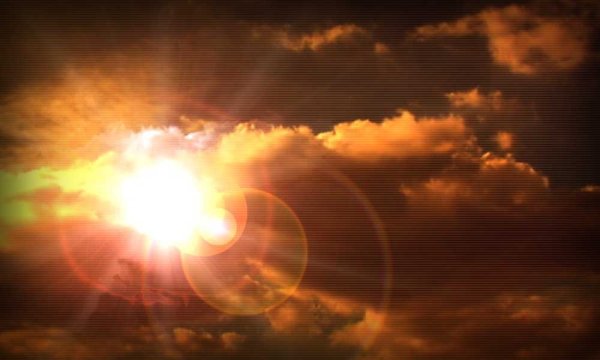 Тянусь к солнцу