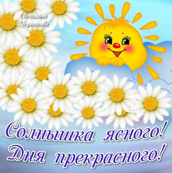 Солнышко в очках