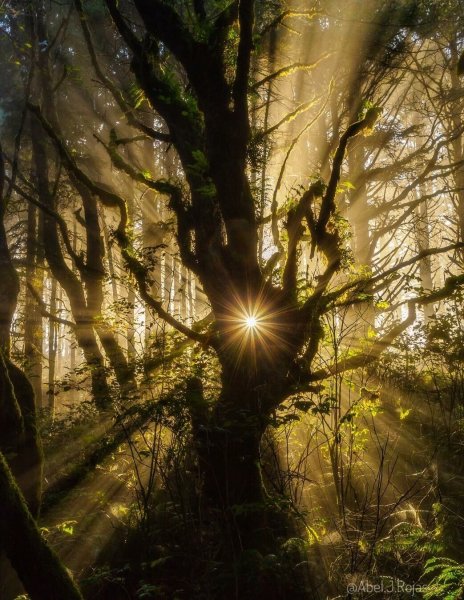 Лучи солнца