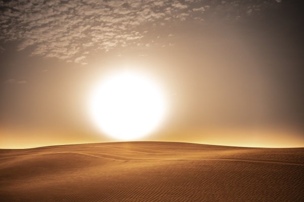 Жара в пустыне