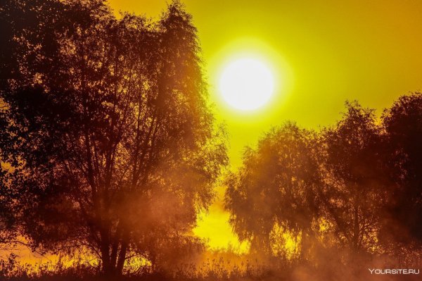 Жаркое солнце