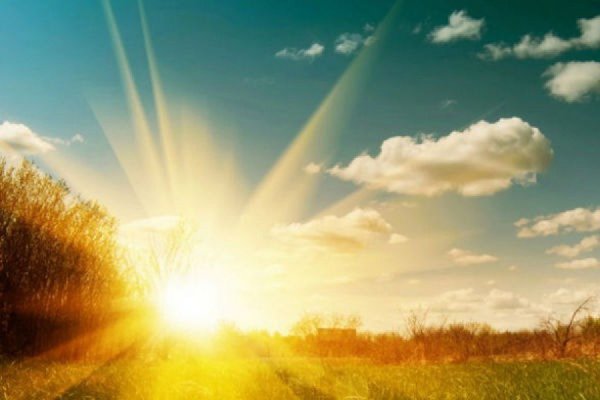 Жаркий Солнечный день