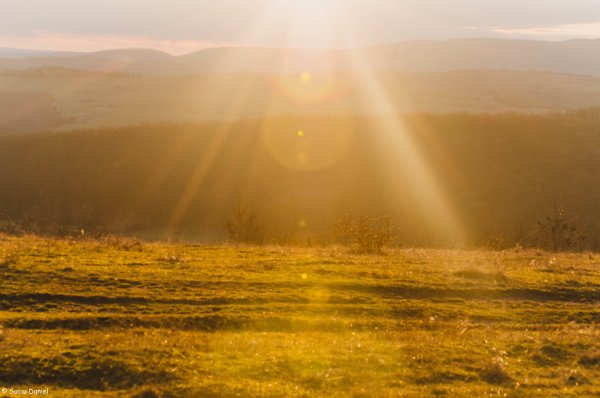 Солнце в степи