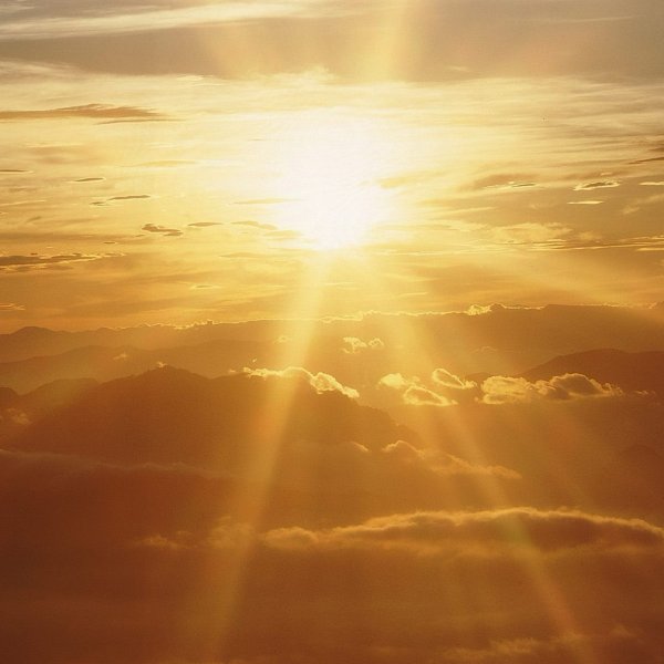 Знойное утро