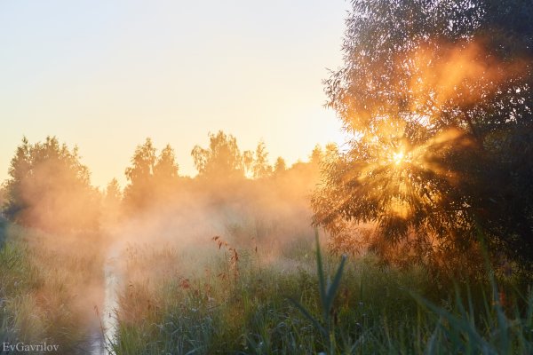 Солнце веселое