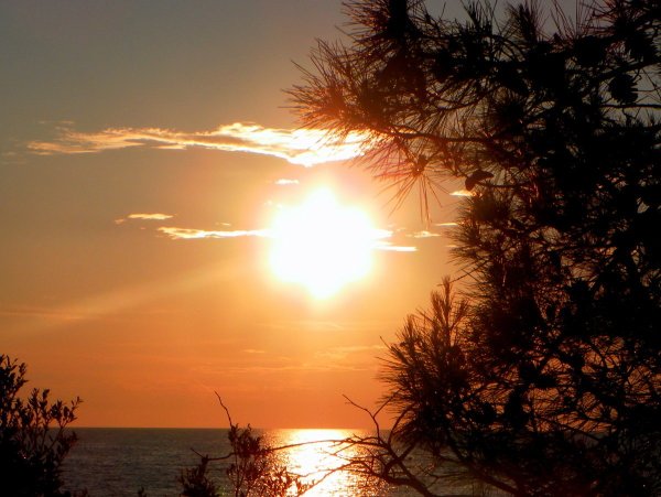 Жаркий Солнечный день