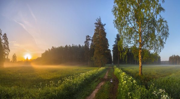 Лесное озеро Архангельская область Озерный край