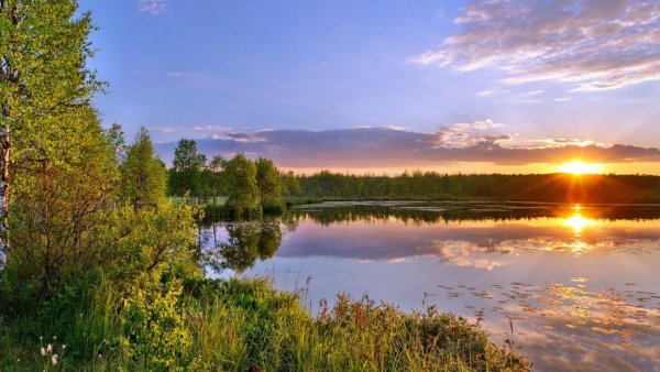 Красивая природа с радугой