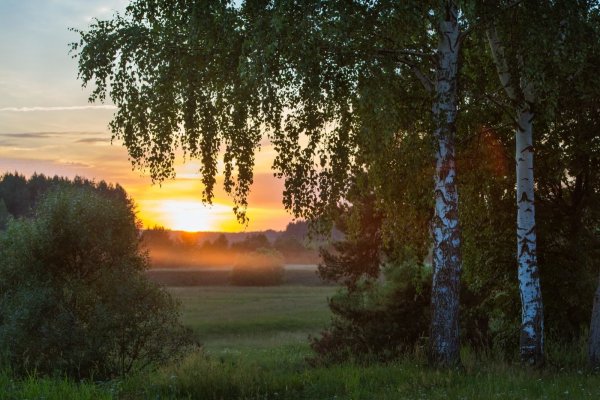 Петр Солнцеворот 25