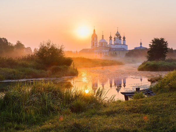 Природа поле березы