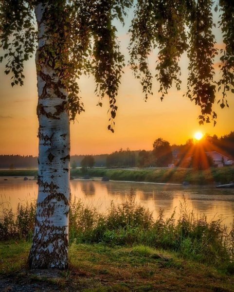 Родные просторы Пушгоры панорама