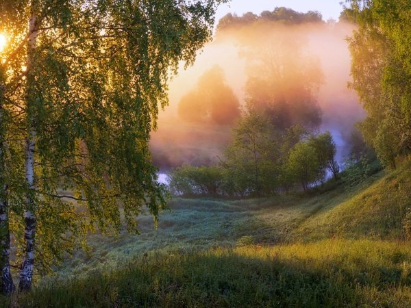 Закат в поле