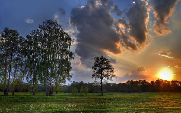 Природа России закат