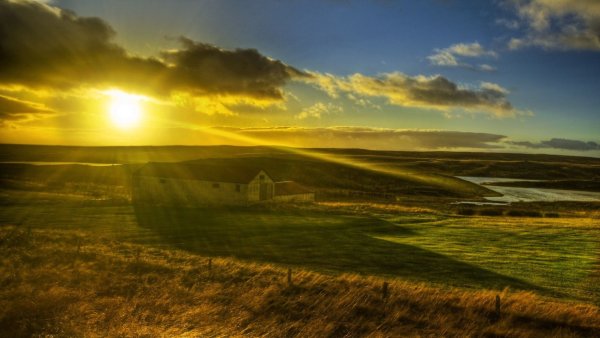 Закат в поле