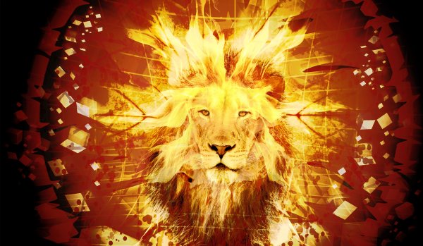 Огненная львица