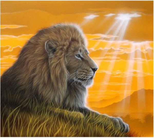 Лев в лучах солнца