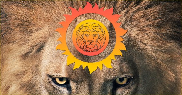 Лев на солнышке