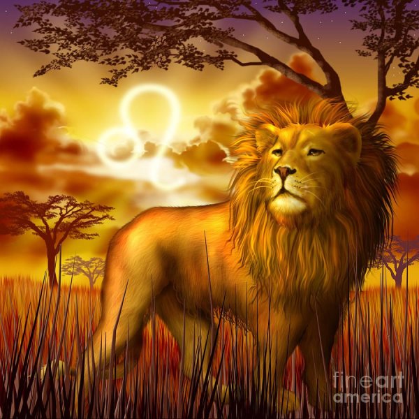 The last Lion Theme Nokia c6-01 zip