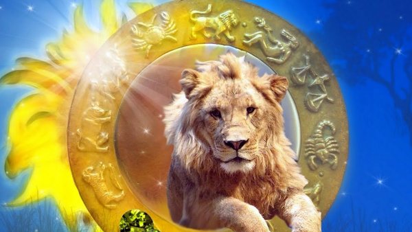 Лев и солнце