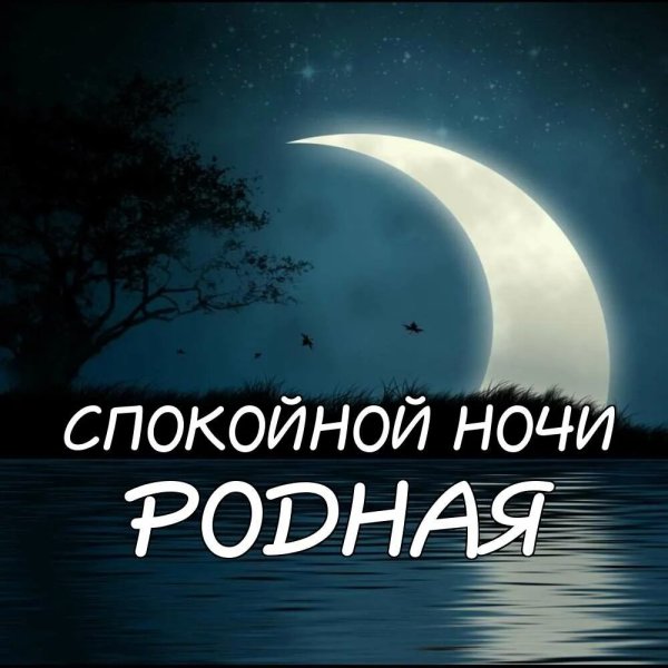 Всем спокойной ночи