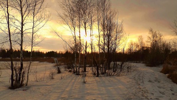 Весна солнце