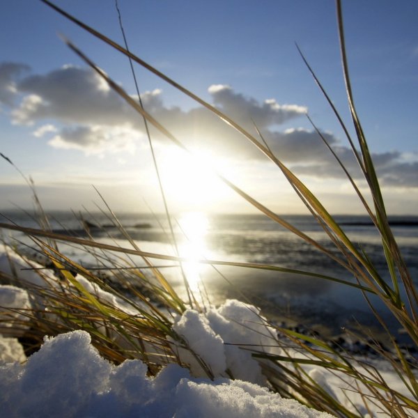 Солнце весной